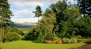 Carrigbaun - Image 4