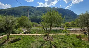 LU House - Image 4