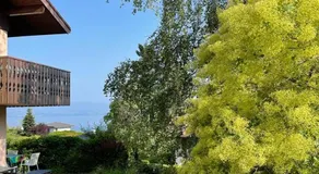 Appartement cozy avec terrasse, Wi-Fi et parking à Évian-les-Bains - FR-1-498-15 - Image 3