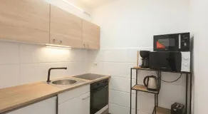 Comfortable 1BR & 1LR Apt Prime location of Vienna - Image 2