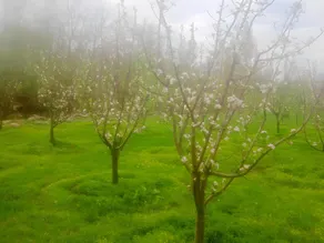 KZ NATURE RESIDENCY - Image 3