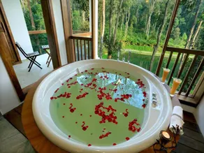 Amaana Plantations Resort - Image 3