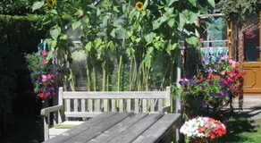 Perfect for Petersfield B&B - Image 3