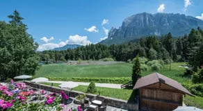 Hotel Waldsee - Image 5