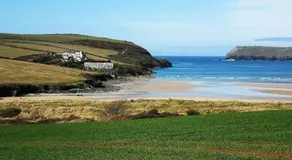 Samphire - Image 3