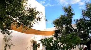 Masseria Puglia Antica - Image 3