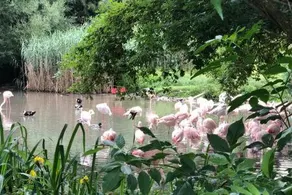 Stadtnähe und doch mitten in der Natur - Image 5