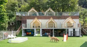 Gapyeong Jmong Choncance&Camping Pension - Image 4
