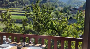 La Vigne de Papagran - Image 3
