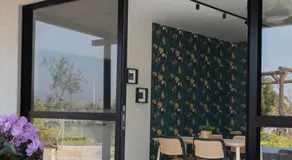 ווילו בערבה - Image 4