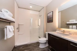TownePlace Suites by Marriott East Hartford - Image 5