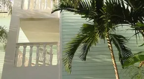 Dolphin Cove - Image 2