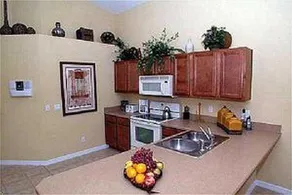 Aviana Resort Orlando - Image 3