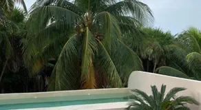 T'uut' Hotel - Image 2