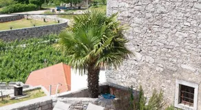 Private Apartment HerMes arT on the Karst Shared Pool & Parking - Image 5