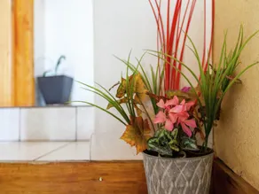 Holiday home in Bastogne with garden - Image 3