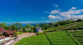 Vagamon Springs - Image 4