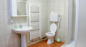 Etno domacinstvo Milenkovic - Image 2