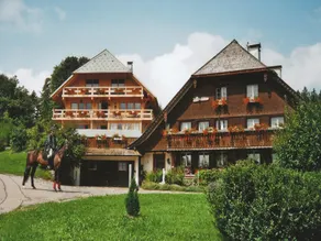 Ferienwohnung im Schwarzwald mit Garten - Image 3