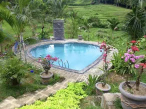 Bali Lush - Image 4