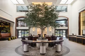 Casa Mani Resort Napa Valley, Curio Collection by Hilton - Image 3