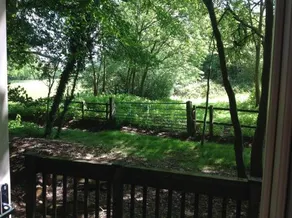 Sweetings Wood Glamping - Image 1