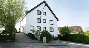 Steffis Vogelnest - Image 5