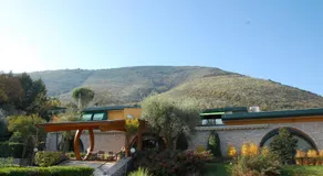 Dal Patricano - Image 5