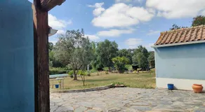 Suite no campo - Image 3
