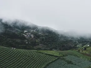 Phudoi Homestay - Image 3