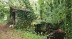 La casa del tio Antonio - Image 4