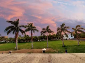 SRK Farm and Resort - Image 4