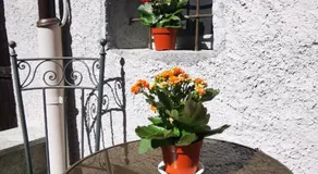 La sosta ai Cantinitt - Image 4