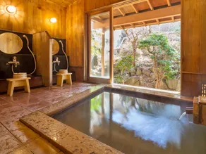 Modern Ryokan Pinon - Image 2