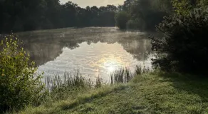 The Lily Pad Off Grid - Image 4