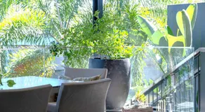Waterfront Stay at Sunshine Villa - Image 4