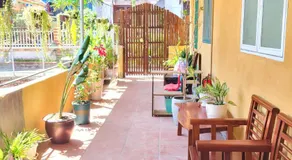 Tiny Garden House Cat Ba - Image 2