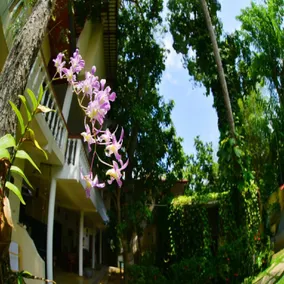Sea Breeze Guest house - Image 5