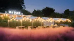 Boeun Ilsanghwa Glamping - Image 2
