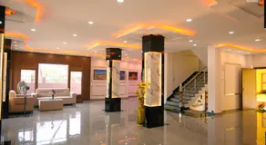 The Golden Dream - Image 3