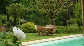 Le Chat Courant - Image 4