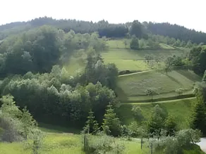 Bühlbauernhof - Image 4