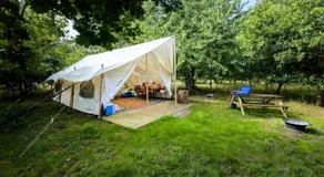 DGG Woodland Escape - Image 4