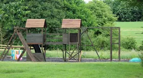 Cherry Trees - Image 3