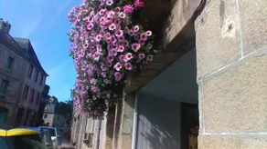 LA GARDE DUCALE - Image 2