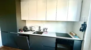 Modern Lakeview Apartment - Image 4