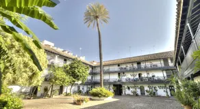 Un Oasis en el Corazón de Sevilla - Image 4