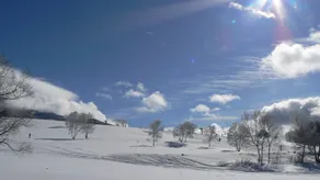 Pension Tirol <Nagano> - Image 5