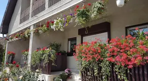 Antal Apartmans Lunca de Sus Kulcsosház Gyimesfelsőlok - Image 3