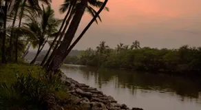 KK Heritage - Image 5